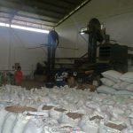 Proses Kopi siap di Hulling