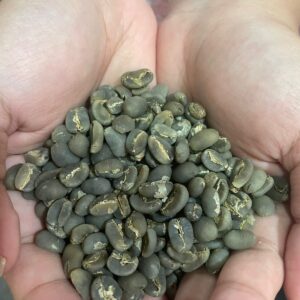 Sumatera Arabica Gayo Green Bean Grade 1  (1 kg)