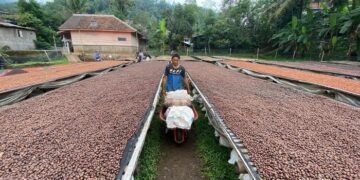 Perjalanan Kopi Wanoja, dari Tanah Sunda hingga Mancanegara