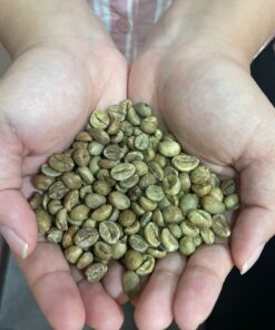 Java Robusta Temanggung Green Bean (1 kg)