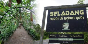 Seladang Cafe Tawarkan Ngopi Langsung di Kebun Kopi, Ada Minuman Tropis hingga Ubi Saos Kopi