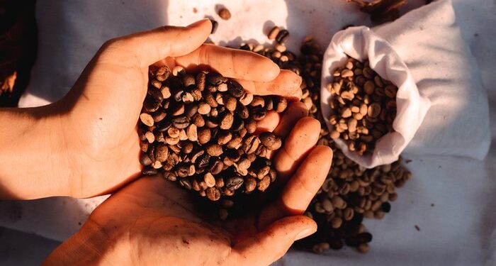 Hari Kopi Sedunia Diperingati Tanggal 1 Oktober, Ini Fakta Menariknya